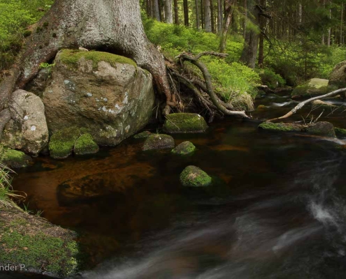 Fotokurs Langzeitbelichtungen im Harz © Alexander P.