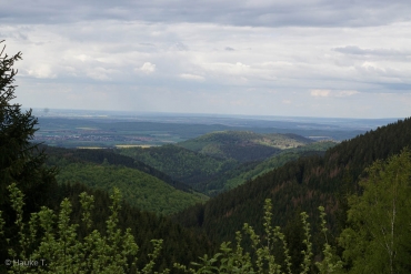 Einzelcoaching auf dem Liebesbankweg © Hauke T.