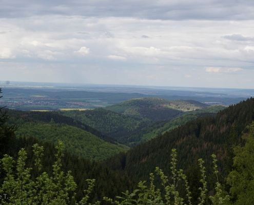 Einzelcoaching auf dem Liebesbankweg © Hauke T.