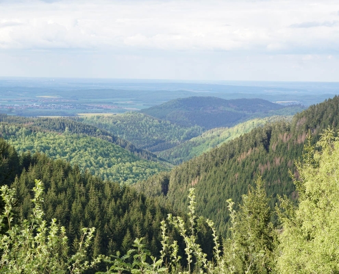 Einzelcoaching auf dem Liebesbankweg © Hauke T.
