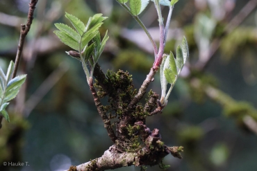 Einzelcoaching auf dem Liebesbankweg © Hauke T.
