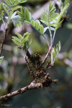 Einzelcoaching auf dem Liebesbankweg © Hauke T.