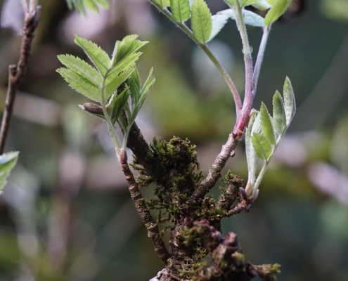 Einzelcoaching auf dem Liebesbankweg © Hauke T.