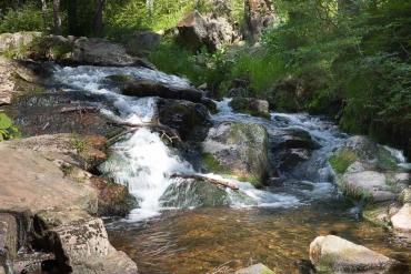 Einzelcoaching im Bodetal bei Braunlage