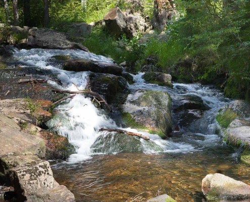 Einzelcoaching im Bodetal bei Braunlage