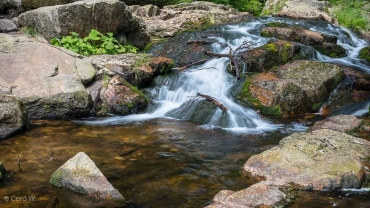 Einzelcoaching im Bodetal bei Braunlage