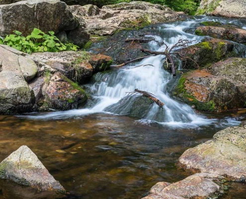 Einzelcoaching im Bodetal bei Braunlage