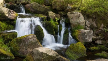 Einzelcoaching im Bodetal bei Braunlage