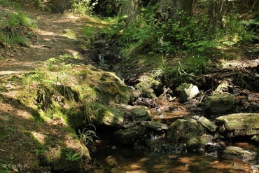 Foto-Wanderung durch das Bodetal