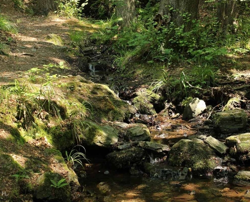 Foto-Wanderung durch das Bodetal
