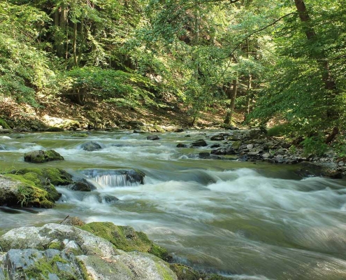 Foto-Wanderung durch das Bodetal
