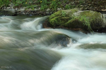 Foto-Wanderung durch das Bodetal