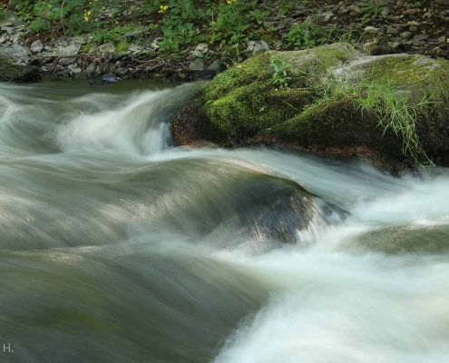 Foto-Wanderung durch das Bodetal