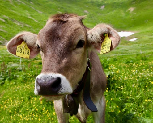 Fotoreise Allgäu Fotoreise Allgäu