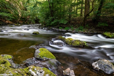 Fotoworkshop-Wochenende Harz