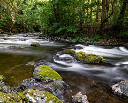 Fotoworkshop-Wochenende Harz
