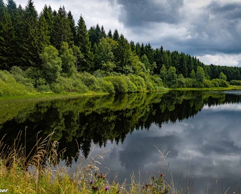 Fotoworkshop-Wochenende Harz