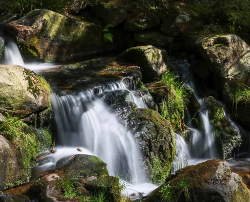 Einzelcoaching - Langzeitbelichtung im Harz