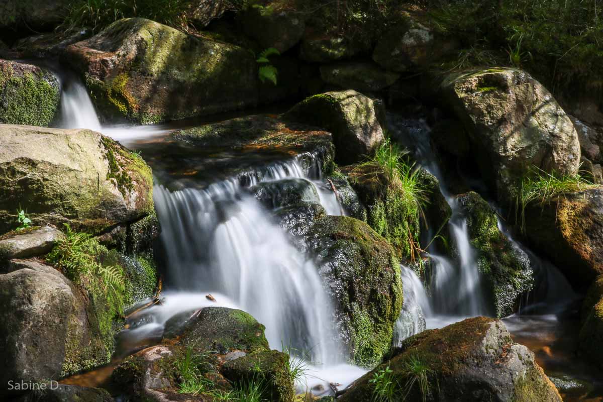 Einzelcoaching - Langzeitbelichtung im Harz