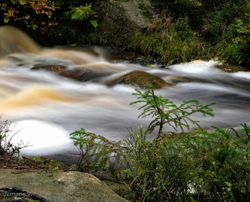 Fotokurs Langzeitbelichtungen im Harz © Heidemarie V. Fotokurs Langzeitbelichtungen im Harz © Heidemarie V.