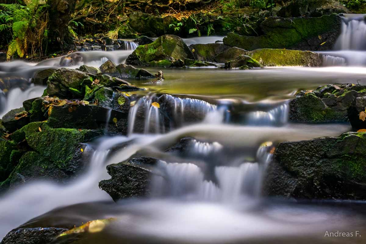 Fotokurs als individuelle Fotowanderung im Selketal, Harz