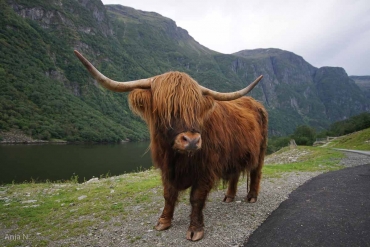 Fotoreise Norwegen