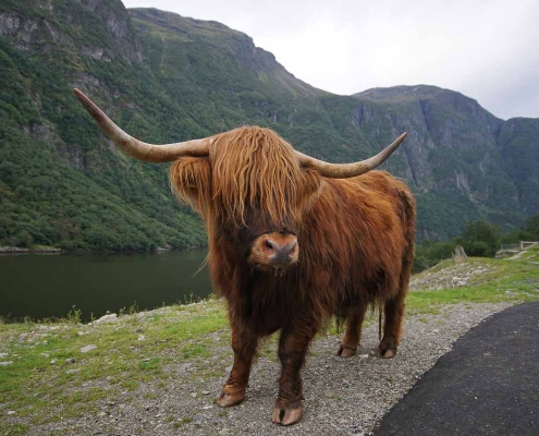 Fotoreise Norwegen