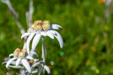 Fotoreise Schweiz - Appenzellerland