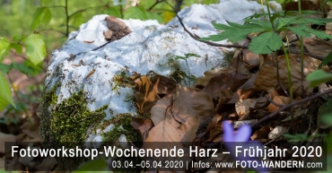 Fotoworkshop-Wochenende-Harz - Frühjahr 2020 - Karst