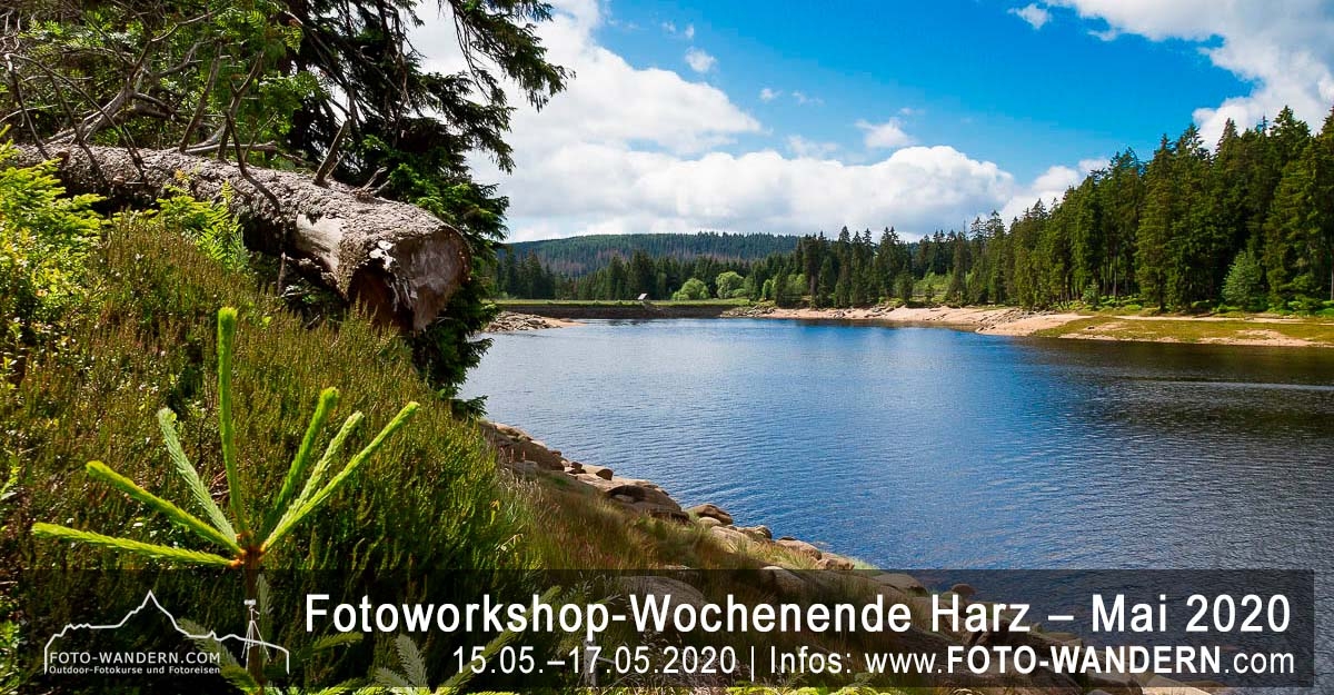 Fotoworkshop-Wochenende-Harz - Mai 2020