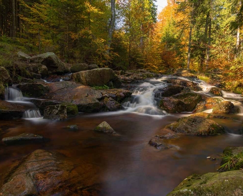 Fotoworkshop-Wochenende im Harz - Herbst 2019