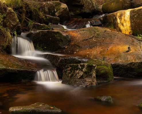 Fotoworkshop-Wochenende im Harz - Herbst 2019