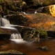 Fotoworkshop-Wochenende im Harz - Herbst 2019