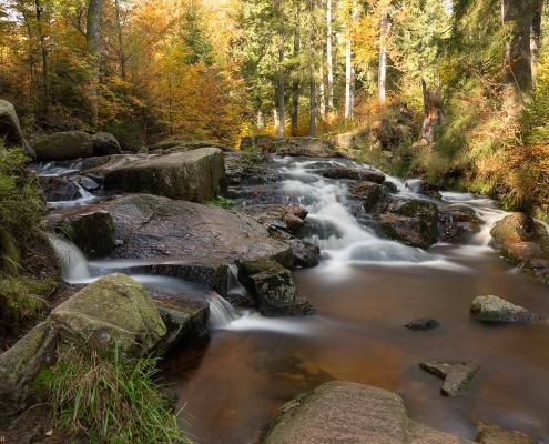 Fotoworkshop-Wochenende im Harz - Herbst 2019