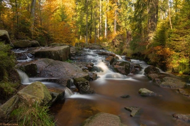 Fotoworkshop-Wochenende im Harz - Herbst 2019