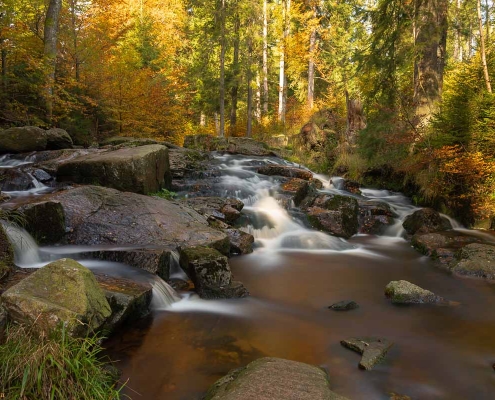 Fotoworkshop-Wochenende im Harz - Herbst 2019