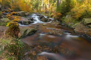 Fotoworkshop-Wochenende im Harz - Herbst 2019