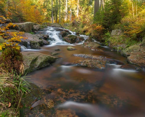 Fotoworkshop-Wochenende im Harz - Herbst 2019