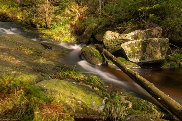 Fotoworkshop-Wochenende im Harz - Herbst 2019