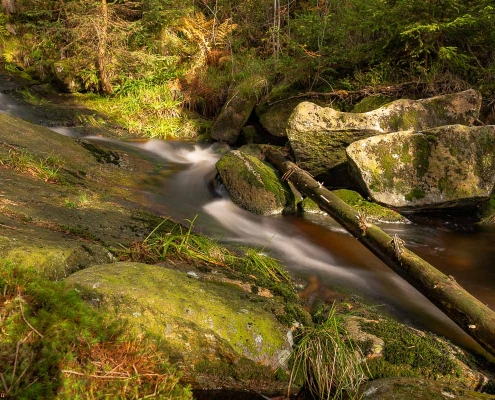 Fotoworkshop-Wochenende im Harz - Herbst 2019