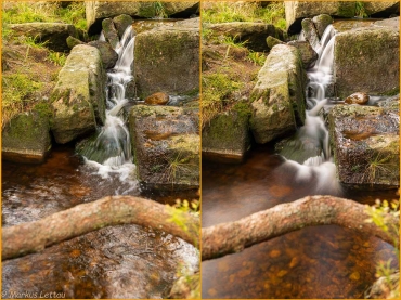 Fotoworkshop-Wochenende im Harz - Herbst 2019