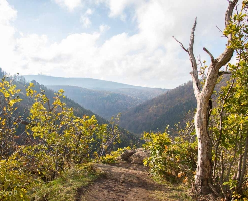 Fotokurs im Ilsetal, Harz © Hans-Georg B.