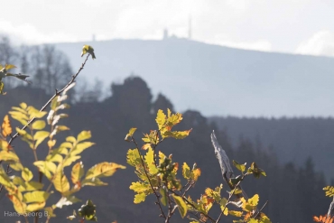 Fotokurs im Ilsetal, Harz © Hans-Georg B.