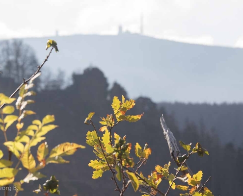 Fotokurs im Ilsetal, Harz © Hans-Georg B.