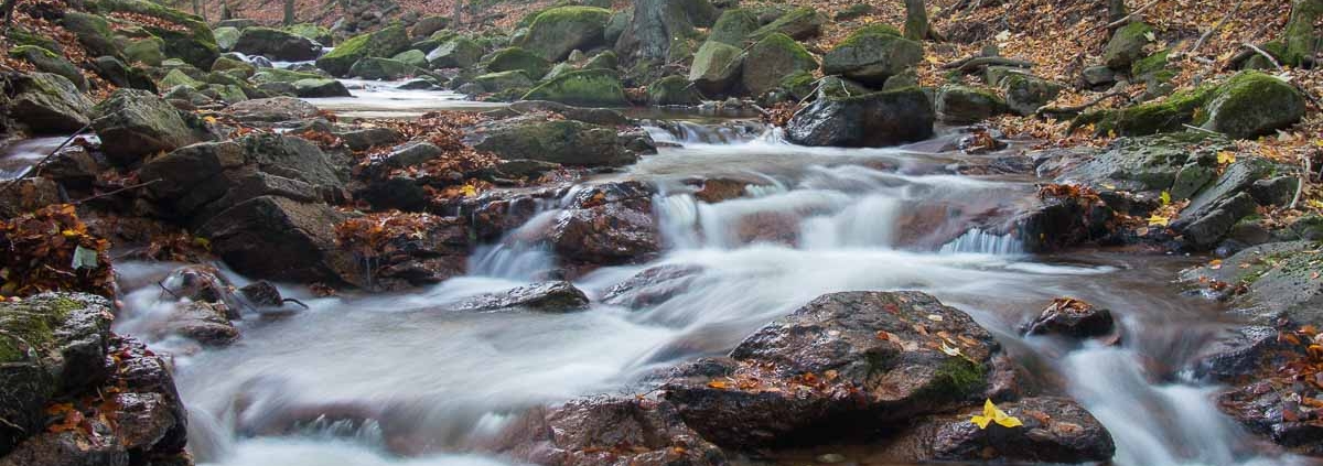 Fotokurs im Ilsetal, Harz © Hans-Georg B.