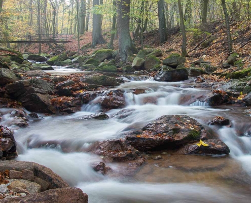 Fotokurs im Ilsetal, Harz © Hans-Georg B.