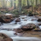 Fotokurs im Ilsetal, Harz © Hans-Georg B.
