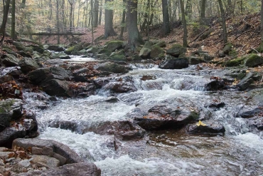 Fotokurs im Ilsetal, Harz © Hans-Georg B.