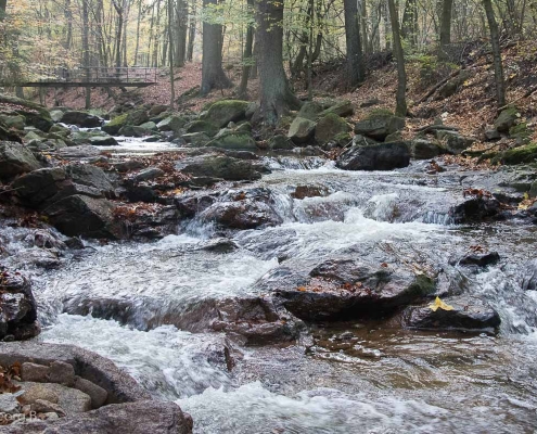 Fotokurs im Ilsetal, Harz © Hans-Georg B.