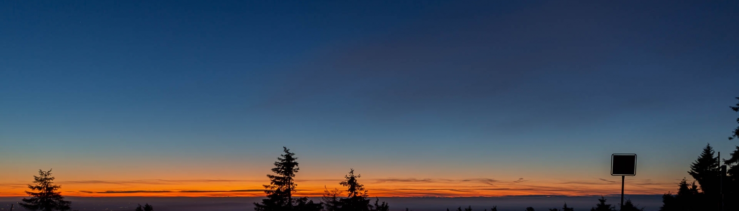 Blaue Stunde im Nationalpark Harz